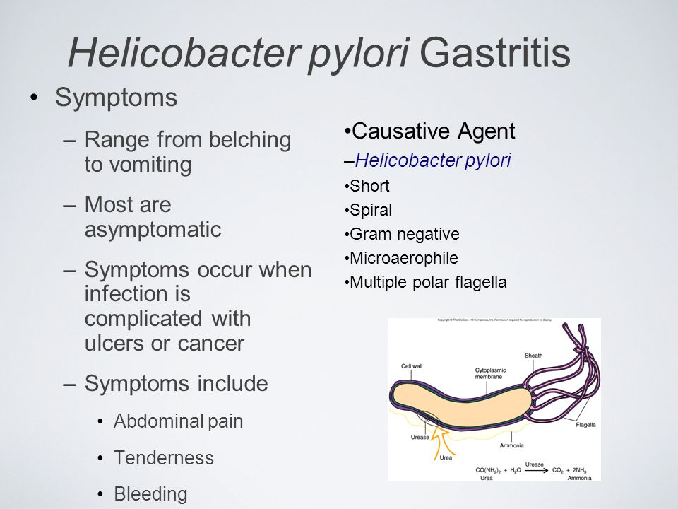 Medicamentos para helicobacter pylori